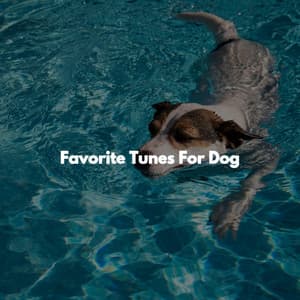 Favorite Tunes For Dog - Montreal Jazz Classics