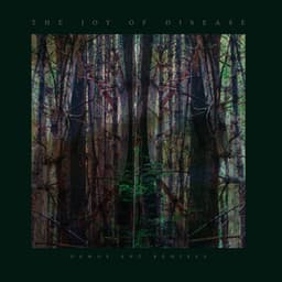 The Joy If Disease - James Plotkin