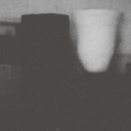 The Prosperity Of Vice, The Misfortune Of Virtue - Merzbow