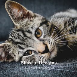 Blissful Dreams: A Lofi Night Mood for Pets - Jamie Lofi