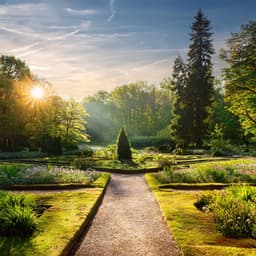 Calm Reflections Through Timeless Soundscapes - Chillhop Guitar