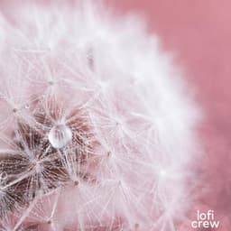 Gentle Deep Lofi Beats - Calm Lofi Beats