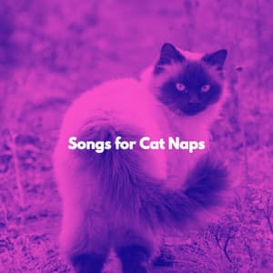 Songs for Cat Naps - Música para Cafés