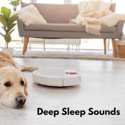 Deep Sleep Sounds - Baby Sleep Baby Sounds