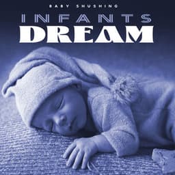 Infants Dream - Baby Shushing