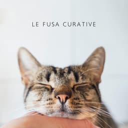 Le fusa curative - Musica Relax Academia
