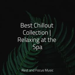 Best Chillout Collection | Relaxing at the Spa - Alpha Waves