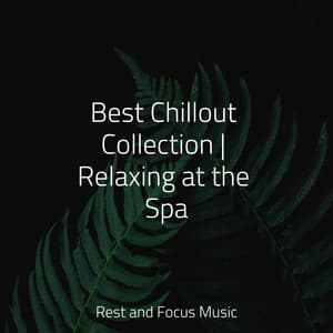 Best Chillout Collection | Relaxing at the Spa - Alpha Waves