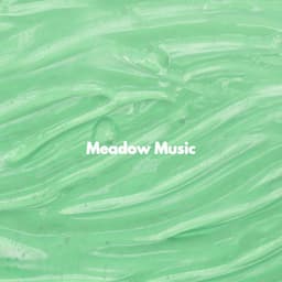 Meadow Music - Coffee Shop Playlist