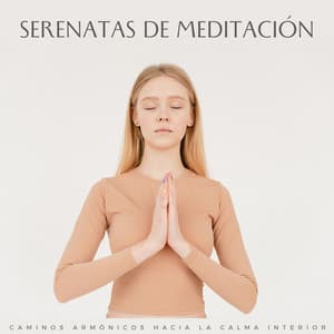 Serenatas De Meditación: Caminos Armónicos Hacia La Calma Interior - Meditación Perfecta