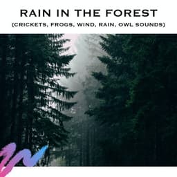 Rain in the Forest - Loopable Radiance