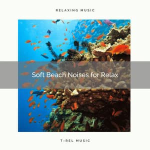 2020 Best: Soft Beach Noises for Relax - Organic Nature Sounds