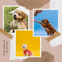 Music for Cutest Dogs - Relaxing Dog Music Society