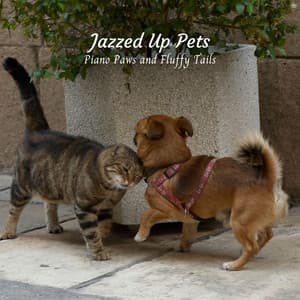 Jazzed Up Pets: Piano Paws and Fluffy Tails - Piano Relaxation
