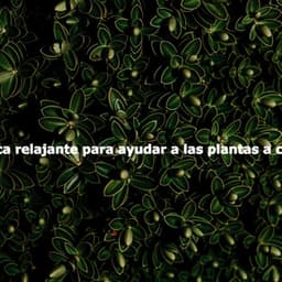 Música relajante para ayudar a las plantas a crecer - Evening Jazz Vibes
