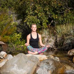 Riverside Zen: Nature's Meditation in the Forest - River Dreams Catalog