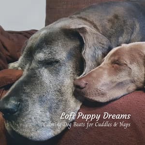 Lofi Puppy Dreams: Calming Dog Beats for Cuddles & Naps - Hip-Hop Lofi Chill