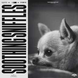 Soothing Sniffles - Music for Calming Dogs