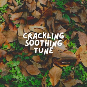 Crackling Soothing Tune - Soporific Pink Noise