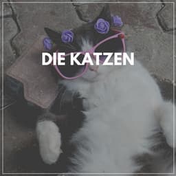 Die Katzen - Katzenmusik
