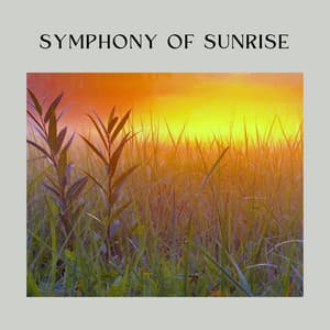 Symphony of Sunrise - Meditative Music Guru