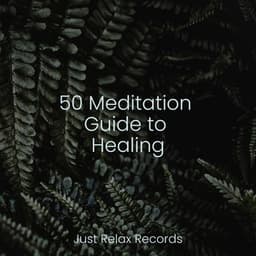 50 Meditation Guide to Healing - Bedtime Baby