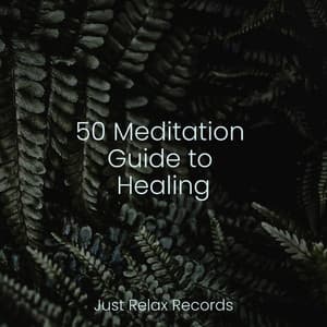 50 Meditation Guide to Healing - Bedtime Baby