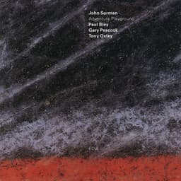 Adventure Playground - John Surman