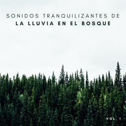Sonidos Tranquilizantes De La Lluvia En El Bosque Vol. 1 - Trabajar desde Casa Playlist