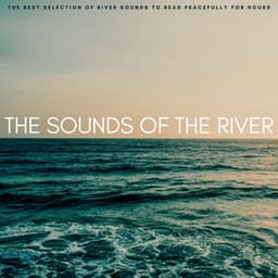 The Sounds Of The River: The Best Selection Of River Sounds To Read Peacefully For Hours - Academy of the Stars