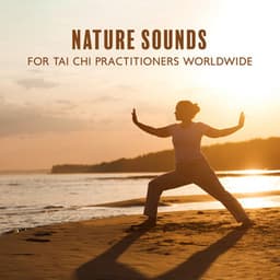 Nature Sounds for Tai Chi Practitioners Worldwide: Conditioning and Balance, Good Physical Level, Zen Harmony - Ancient Asian Oasis
