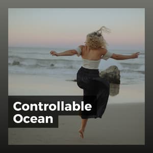 Controllable Ocean - Relaxing Sea Sounds
