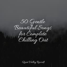 50 Gentle Beautiful Songs for Complete Chilling Out - The Rainforest Collective