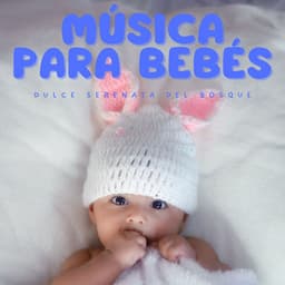 Música para Bebés: Dulce Serenata del Bosque - Musica del bosque