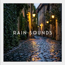 Restful Silent Whispers - Rain Sound