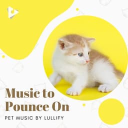 Music to Pounce On - Pet Music by Lullify