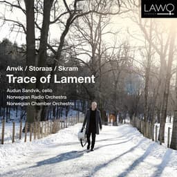 Trace of Lament - Audun Sandvik