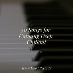 50 Songs for Calming Deep Chillout - Piano Relaxation