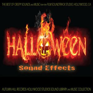 Halloween Sound Effects - Halloween
