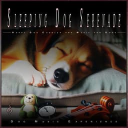 Sleeping Dog Serenade: Happy Dog Cuddles and Music for Dogs - Dog Music Experience