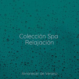 Colección Spa Relajación - PowerThoughts Meditation Club