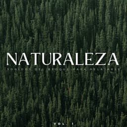 Naturaleza: Sonidos Del Bsoque Para Relajarse Vol. 1 - Grabaciones del hombre de la montaña