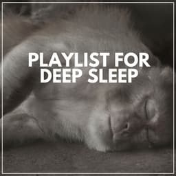 Playlist for Deep Sleep - Crying & Colic Relief