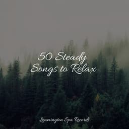 50 Steady Songs to Relax - Mother Nature FX