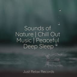 Sounds of Nature | Chill Out Music | Peaceful Deep Sleep - Easy Sleep Music