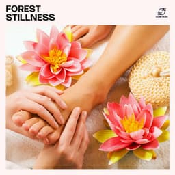Forest Stillness - Spa Music Relaxation Therapy