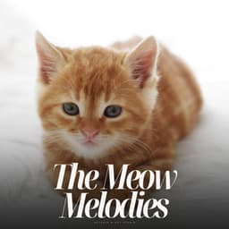 The Meow Melodies - The Cat Relaxer