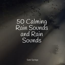 50 Calming Rain Sounds and Rain Sounds - Rain Sounds Factory STHLM