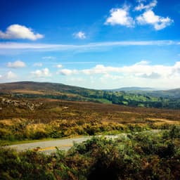 ! ! ! ! Wandering Thoughts - Música Relajante