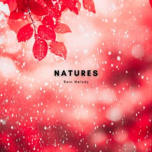 Gentle Night Rain - Natures Rain Melody